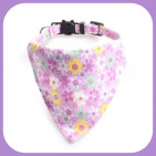 Collar-038